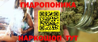 ешки Абакан
