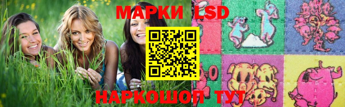 ЛСД экстази кислота  Вход с VPN  LSD-25 экстази кислота  Ачхой-Мартан 