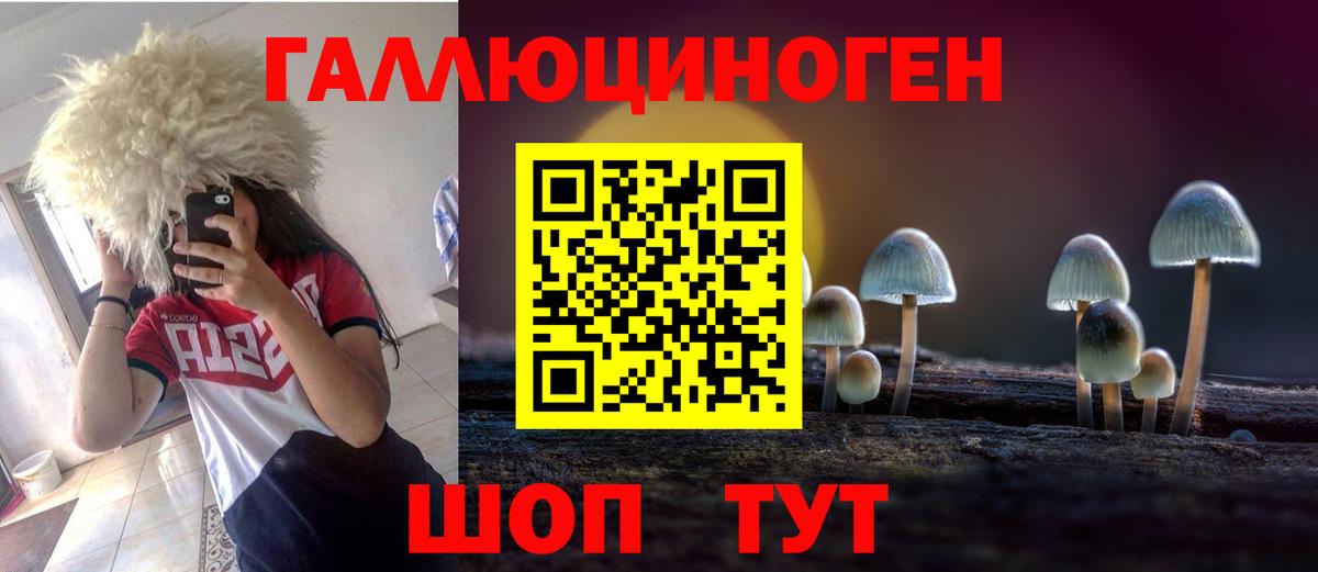 Галлюциногенные грибы мухоморы  Вход с VPN  Ачхой-Мартан 